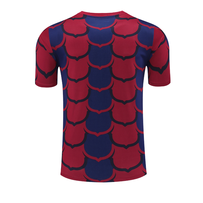CAMISETA BARCELONA EDICIÓN ESPECIAL V 24/25 HOMBRE
