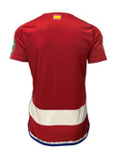 Granada CF 2024/2025 - Camiseta titular Granada CF - Diseño clásico - Elegante - Detalles únicos - Temporada - Fútbol - Color principal - Toque único - Equipamiento deportivo - Estilo - Club - Tradición. 