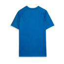 CAMISETA PALMEIRAS PRE PARTIDO 24/25 HOMBRE
