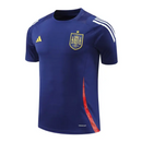 CAMISETA ESPAÑA EDICIÓN ESPECIAL I 24/25 HOMBRE