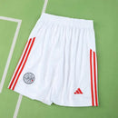 PANTALONES CORTOS AJAX I 25/26