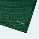 CAMISETA MEXICO I 2026 MUNDIAL HOMBRE